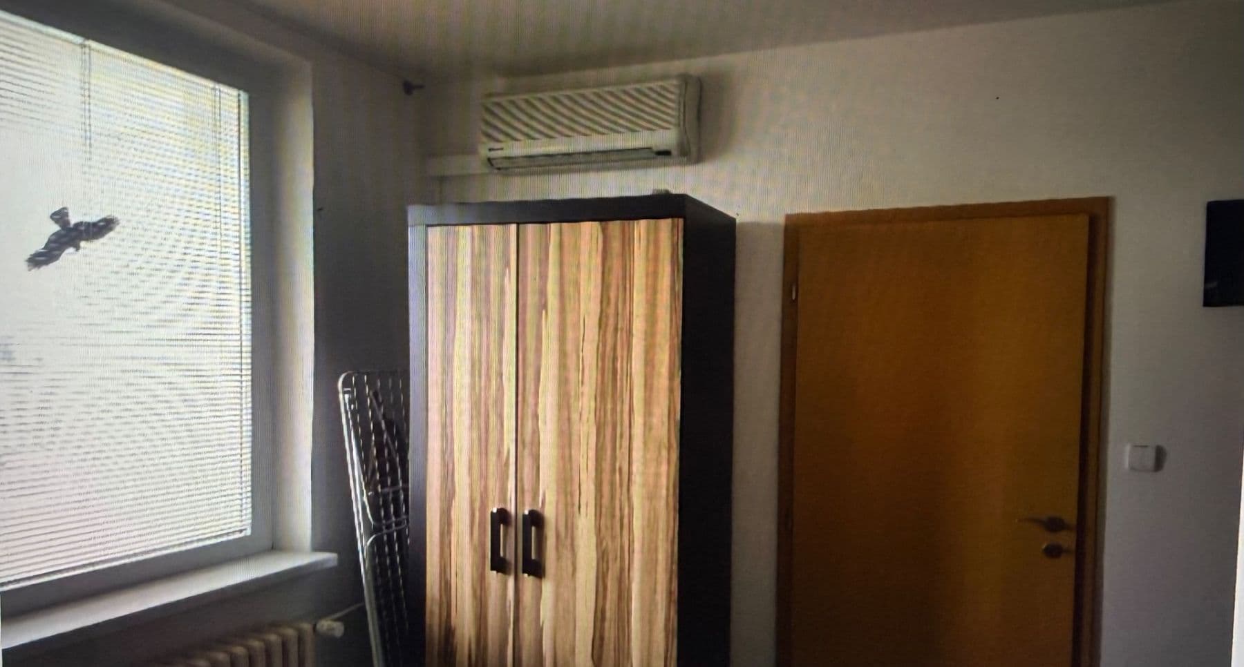 Prenájom bytu 1-izbový 45 m², Rerychova, Brno, Jihomoravský kraj Prenájom bytu 1-izbový 45 m², Rerychova, Brno, Jihomoravský kraj