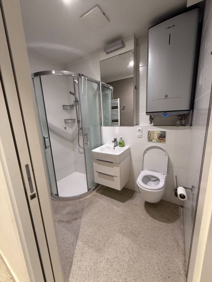 Prenájom bytu 1-izbový 46 m², Trojská, Praha, Praha Prenájom bytu 1-izbový 46 m², Trojská, Praha, Praha