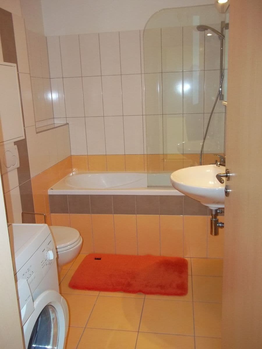 Prenájom bytu 1-izbový 41 m², Česká, Jihomoravský kraj Prenájom bytu 1-izbový 41 m², Česká, Jihomoravský kraj