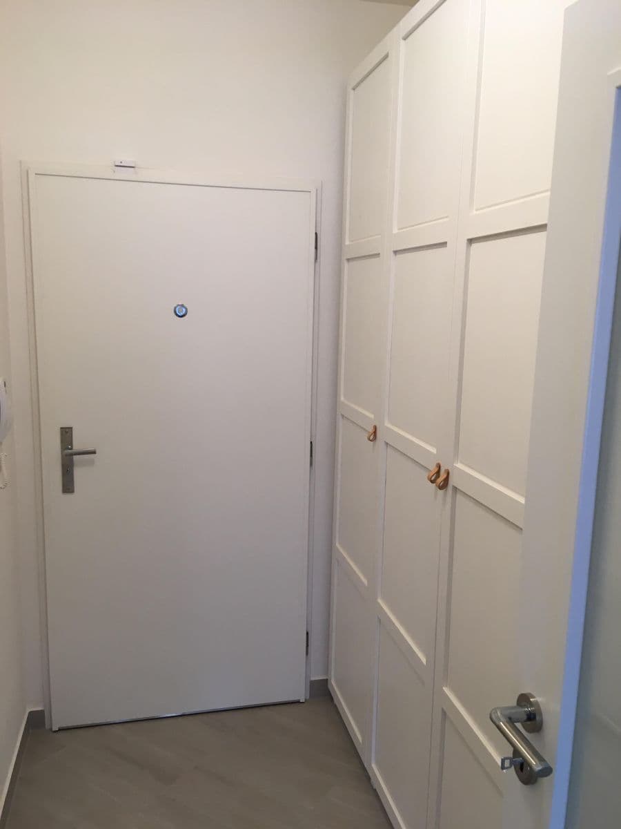 Prenájom bytu 1-izbový 85 m², Františka Diviše, Praha, Praha Prenájom bytu 1-izbový 85 m², Františka Diviše, Praha, Praha