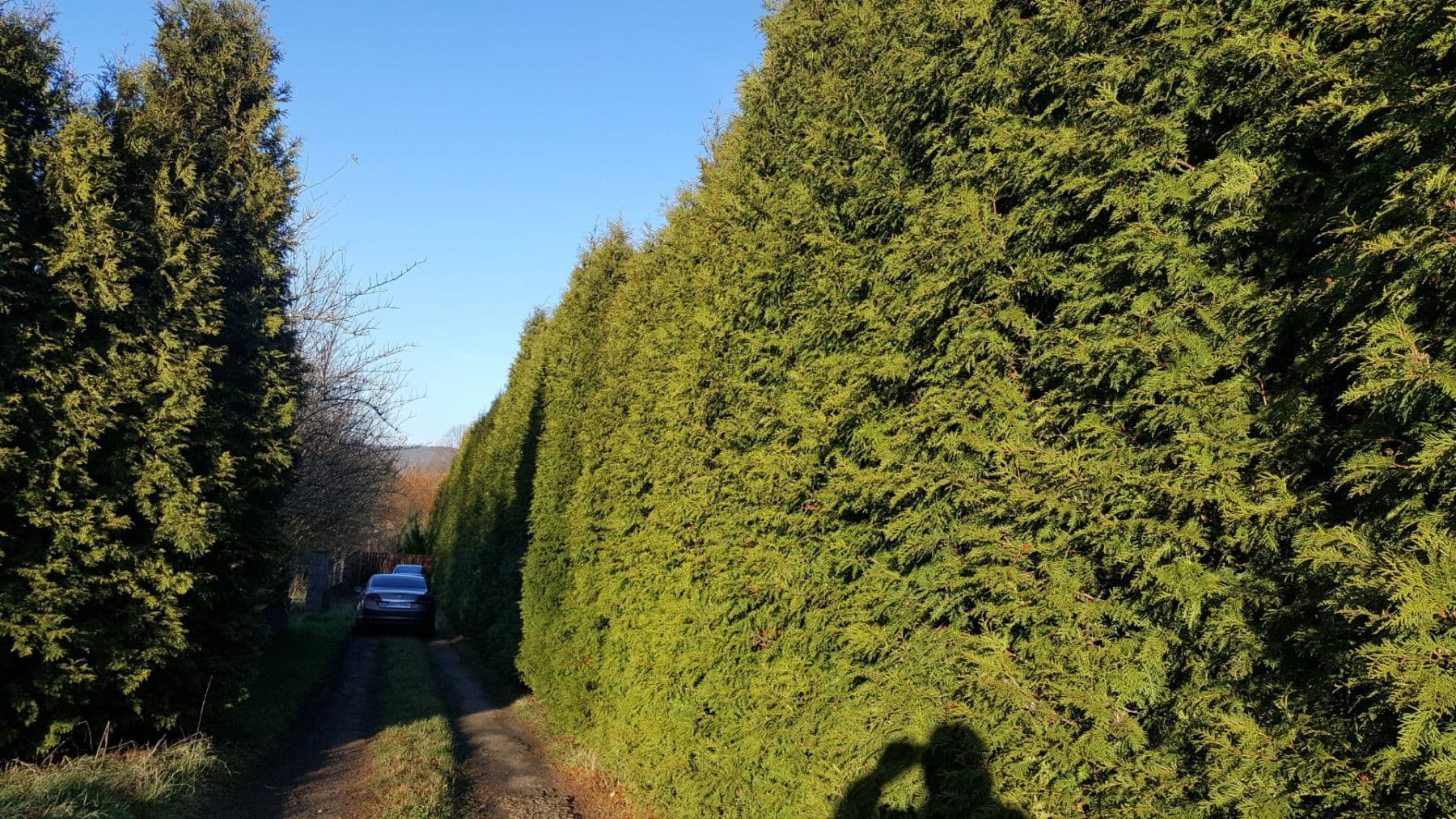 Predaj pozemku 1.431 m², Řehlovice, Ústecký kraj Predaj pozemku 1.431 m², Řehlovice, Ústecký kraj