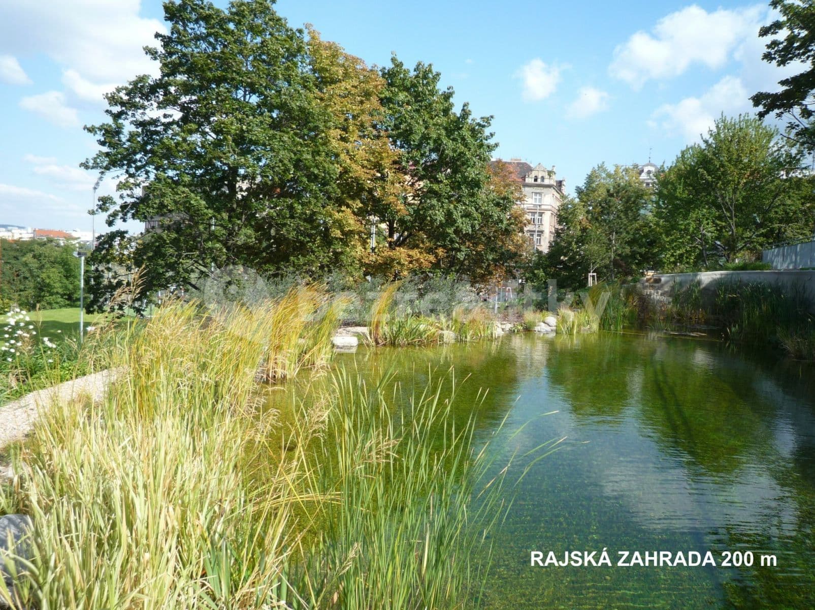 Prenájom bytu 2-izbový 37 m², Ježkova, Praha, Praha Prenájom bytu 2-izbový 37 m², Ježkova, Praha, Praha