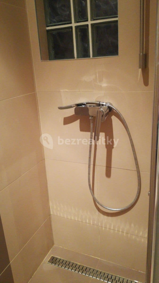 Prenájom bytu 1-izbový 32 m², Lucemburská, Praha, Praha Prenájom bytu 1-izbový 32 m², Lucemburská, Praha, Praha
