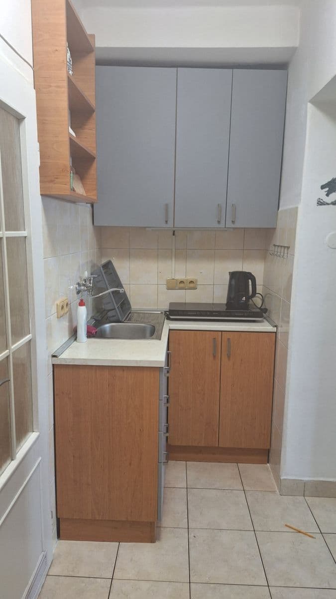 Prenájom bytu 1-izbový 26 m², Borská, Plzeň, Plzeňský kraj Prenájom bytu 1-izbový 26 m², Borská, Plzeň, Plzeňský kraj