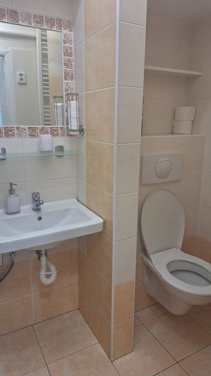 Prenájom bytu 1-izbový 26 m², Borská, Plzeň, Plzeňský kraj Prenájom bytu 1-izbový 26 m², Borská, Plzeň, Plzeňský kraj