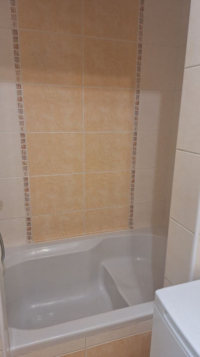 Prenájom bytu 1-izbový 26 m², Borská, Plzeň, Plzeňský kraj Prenájom bytu 1-izbový 26 m², Borská, Plzeň, Plzeňský kraj