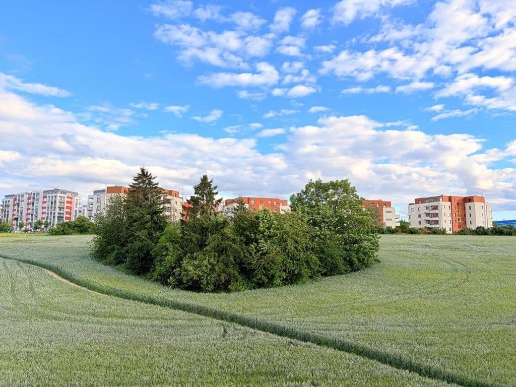 Prenájom bytu 3-izbový 78 m², Lipovská, Praha, Praha Prenájom bytu 3-izbový 78 m², Lipovská, Praha, Praha