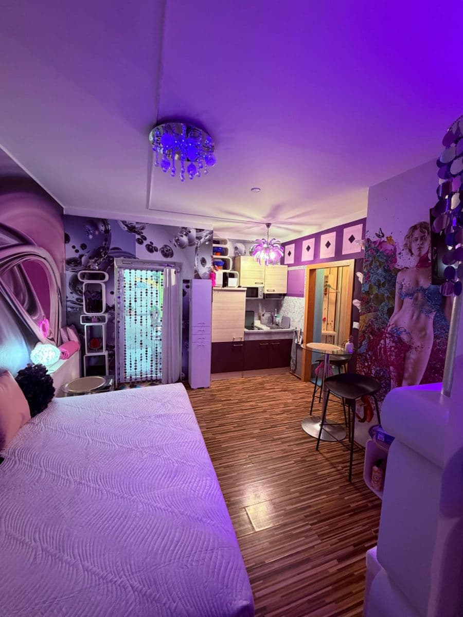 Prenájom bytu 1-izbový 24 m², Koterovská, Plzeň, Plzeňský kraj Prenájom bytu 1-izbový 24 m², Koterovská, Plzeň, Plzeňský kraj