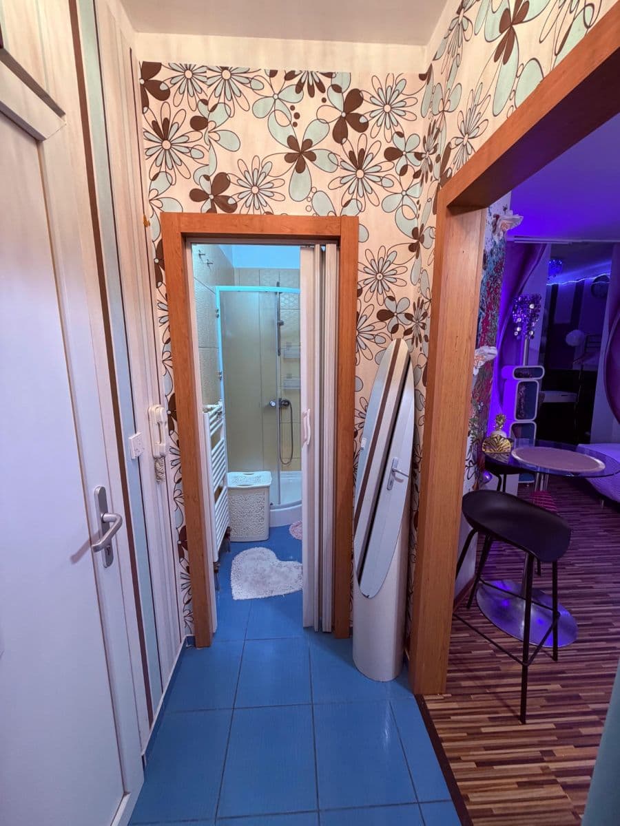Prenájom bytu 1-izbový 24 m², Koterovská, Plzeň, Plzeňský kraj Prenájom bytu 1-izbový 24 m², Koterovská, Plzeň, Plzeňský kraj