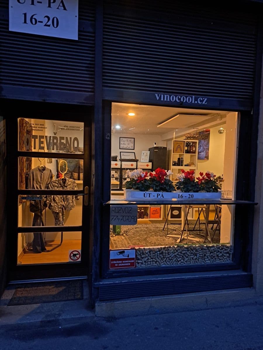 Prenájom nebytového priestoru 60 m², Vrchlického, Praha, Praha Prenájom nebytového priestoru 60 m², Vrchlického, Praha, Praha