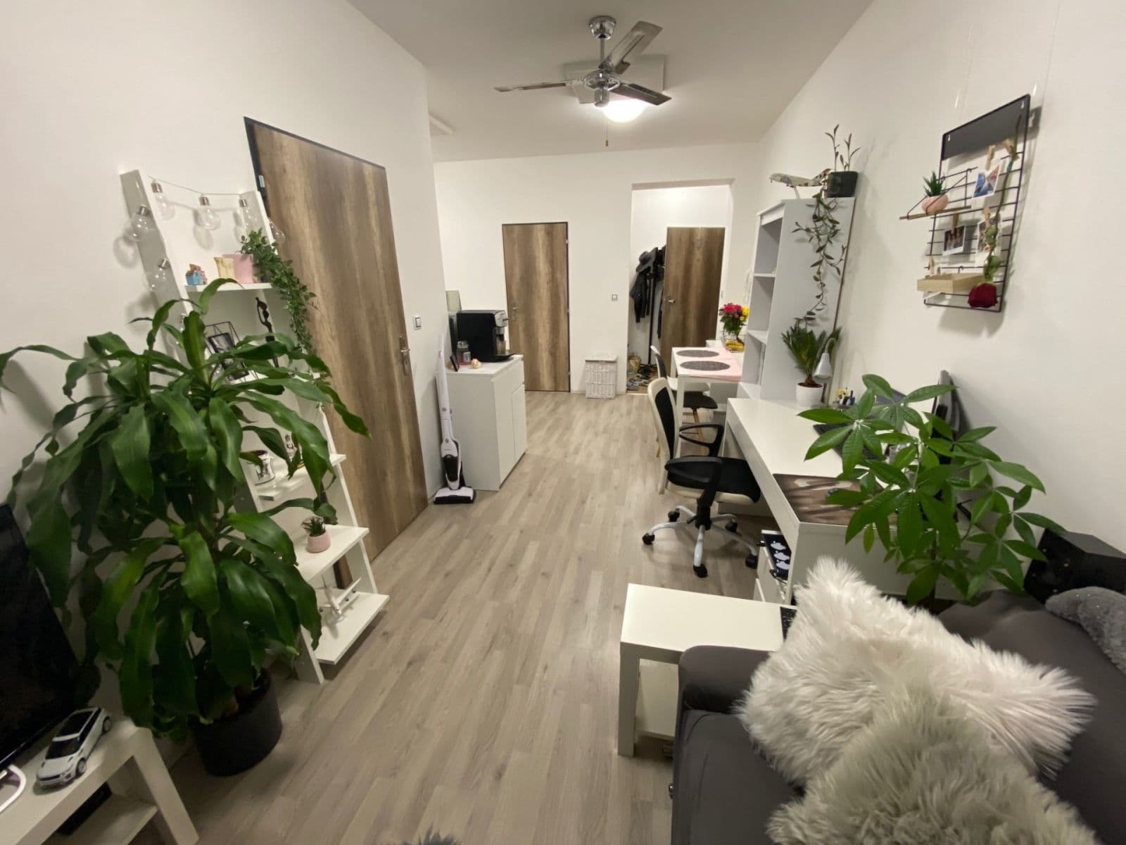 Prenájom bytu 2-izbový 33 m², Bělohorská, Brno, Jihomoravský kraj Prenájom bytu 2-izbový 33 m², Bělohorská, Brno, Jihomoravský kraj