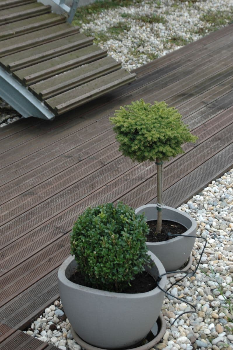 Prenájom bytu 3-izbový 75 m², Hegerova, Ostrava, Moravskoslezský kraj Prenájom bytu 3-izbový 75 m², Hegerova, Ostrava, Moravskoslezský kraj