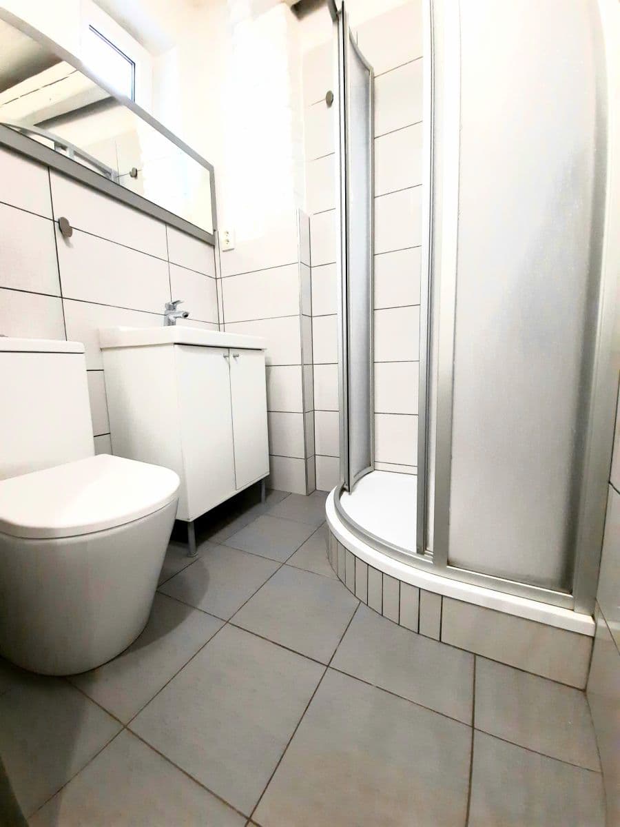 Prenájom bytu 1-izbový 16 m², Vlkova, Praha, Praha Prenájom bytu 1-izbový 16 m², Vlkova, Praha, Praha