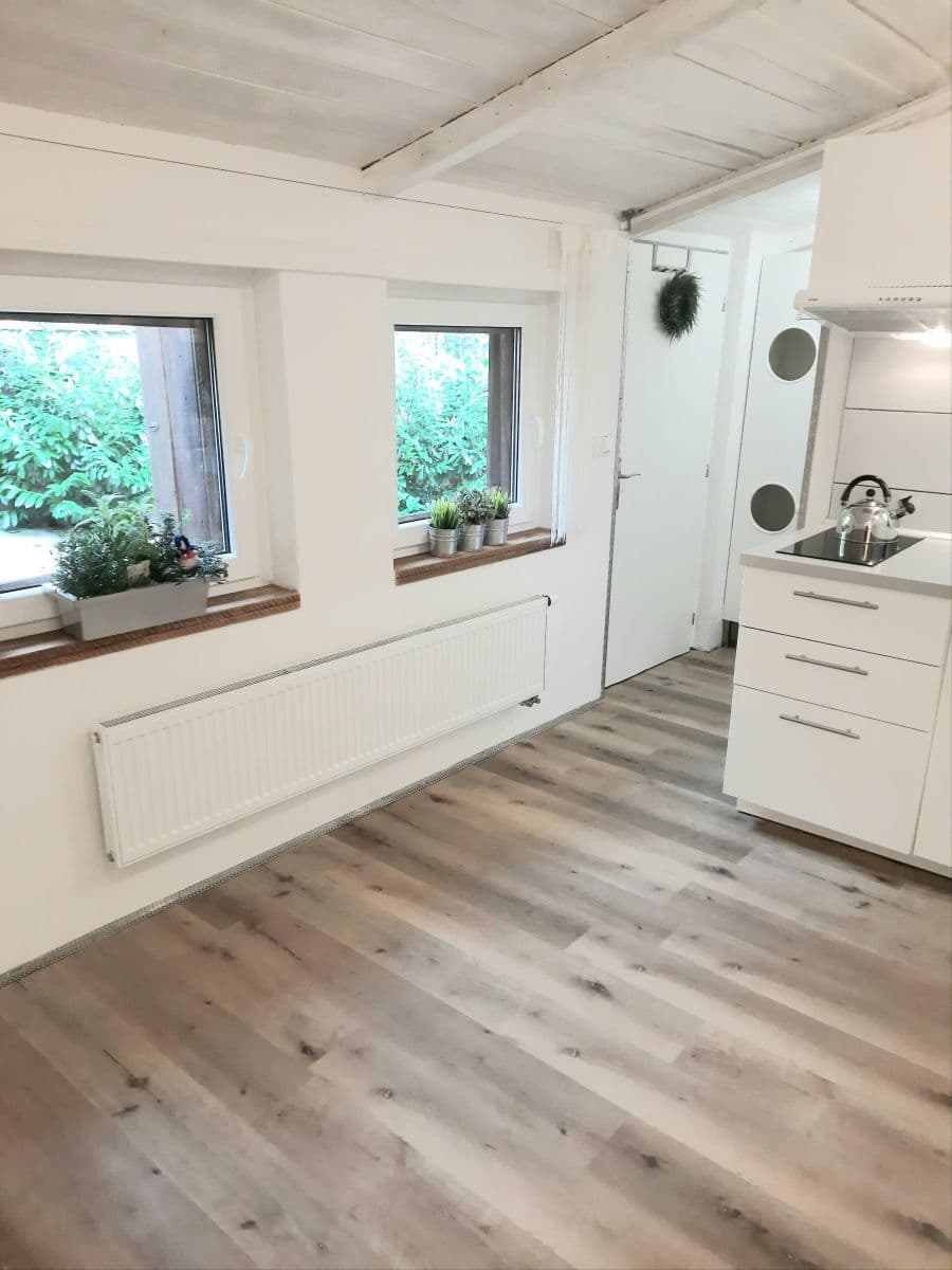 Prenájom bytu 1-izbový 16 m², Vlkova, Praha, Praha Prenájom bytu 1-izbový 16 m², Vlkova, Praha, Praha
