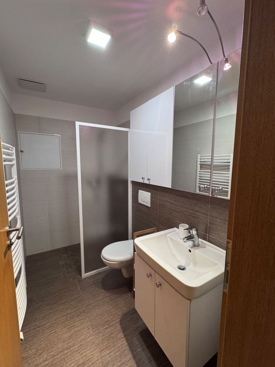 Prenájom bytu 1-izbový 38 m², Vinohrady, Brno, Jihomoravský kraj Prenájom bytu 1-izbový 38 m², Vinohrady, Brno, Jihomoravský kraj