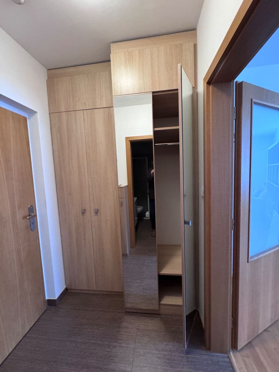 Prenájom bytu 1-izbový 38 m², Vinohrady, Brno, Jihomoravský kraj Prenájom bytu 1-izbový 38 m², Vinohrady, Brno, Jihomoravský kraj