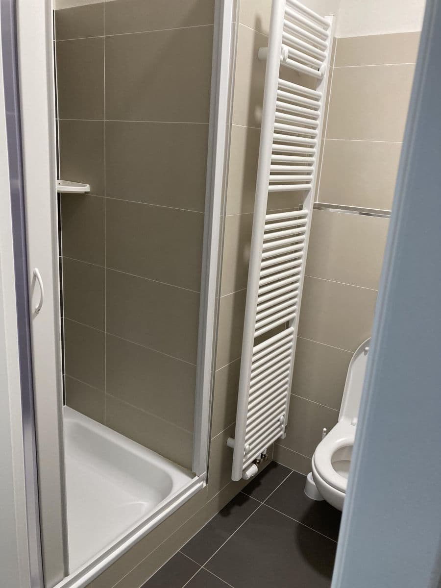 Prenájom bytu 1-izbový 28 m², Technická, Plzeň, Plzeňský kraj Prenájom bytu 1-izbový 28 m², Technická, Plzeň, Plzeňský kraj