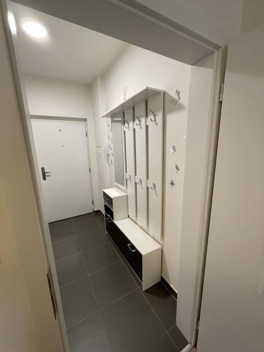 Prenájom bytu 1-izbový 28 m², Technická, Plzeň, Plzeňský kraj Prenájom bytu 1-izbový 28 m², Technická, Plzeň, Plzeňský kraj