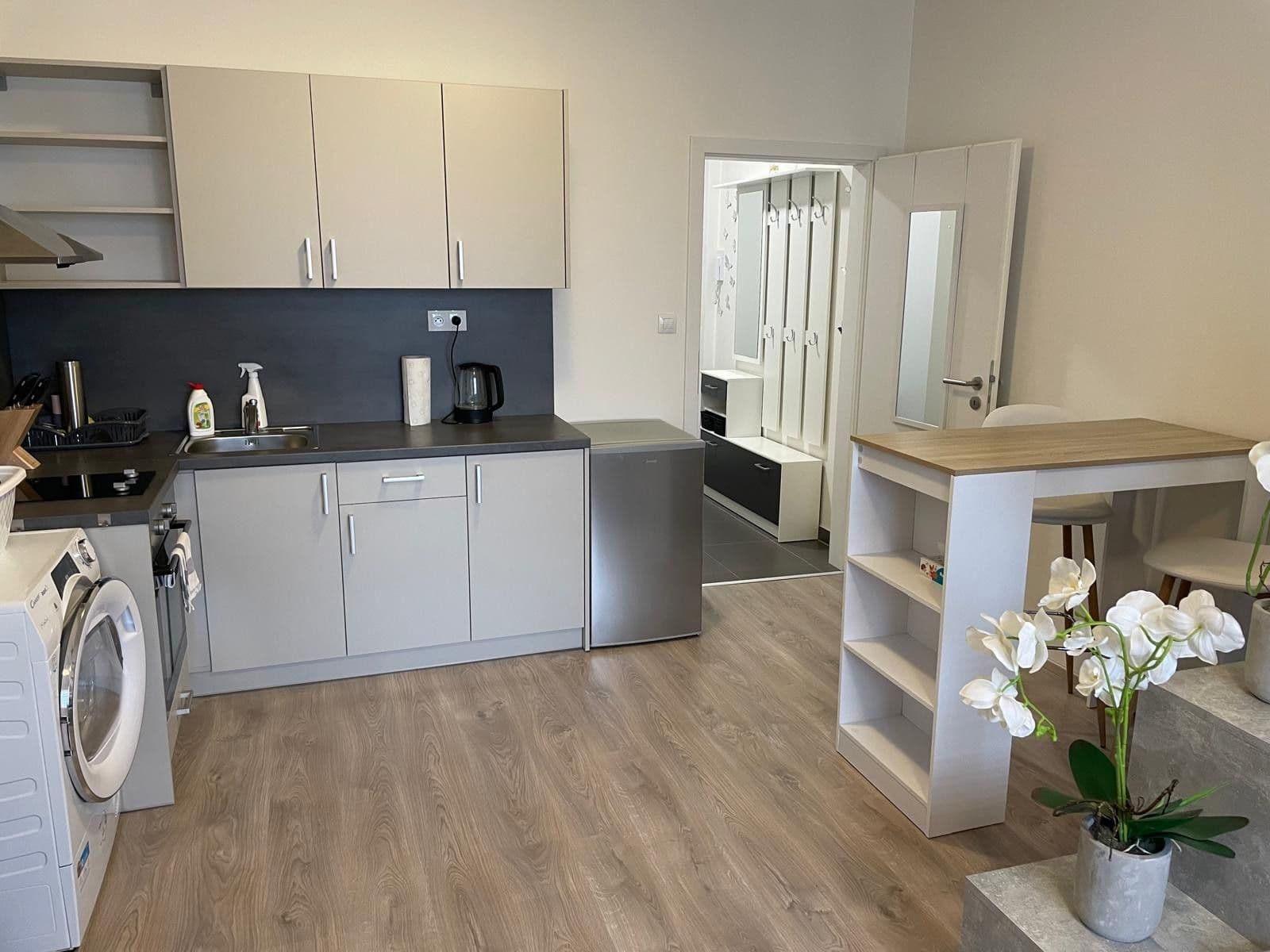 Prenájom bytu 1-izbový 28 m², Technická, Plzeň, Plzeňský kraj Prenájom bytu 1-izbový 28 m², Technická, Plzeň, Plzeňský kraj