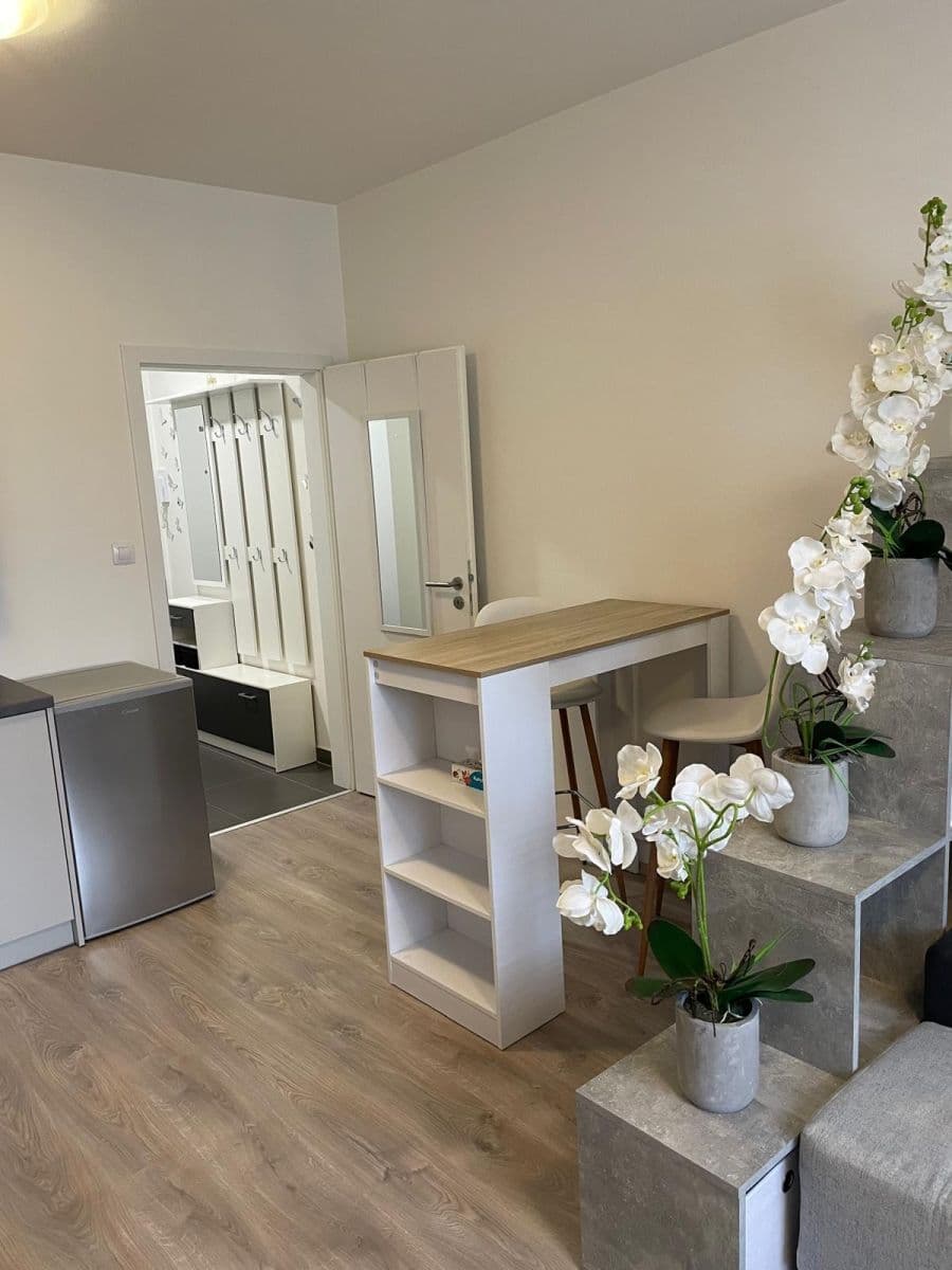 Prenájom bytu 1-izbový 28 m², Technická, Plzeň, Plzeňský kraj Prenájom bytu 1-izbový 28 m², Technická, Plzeň, Plzeňský kraj