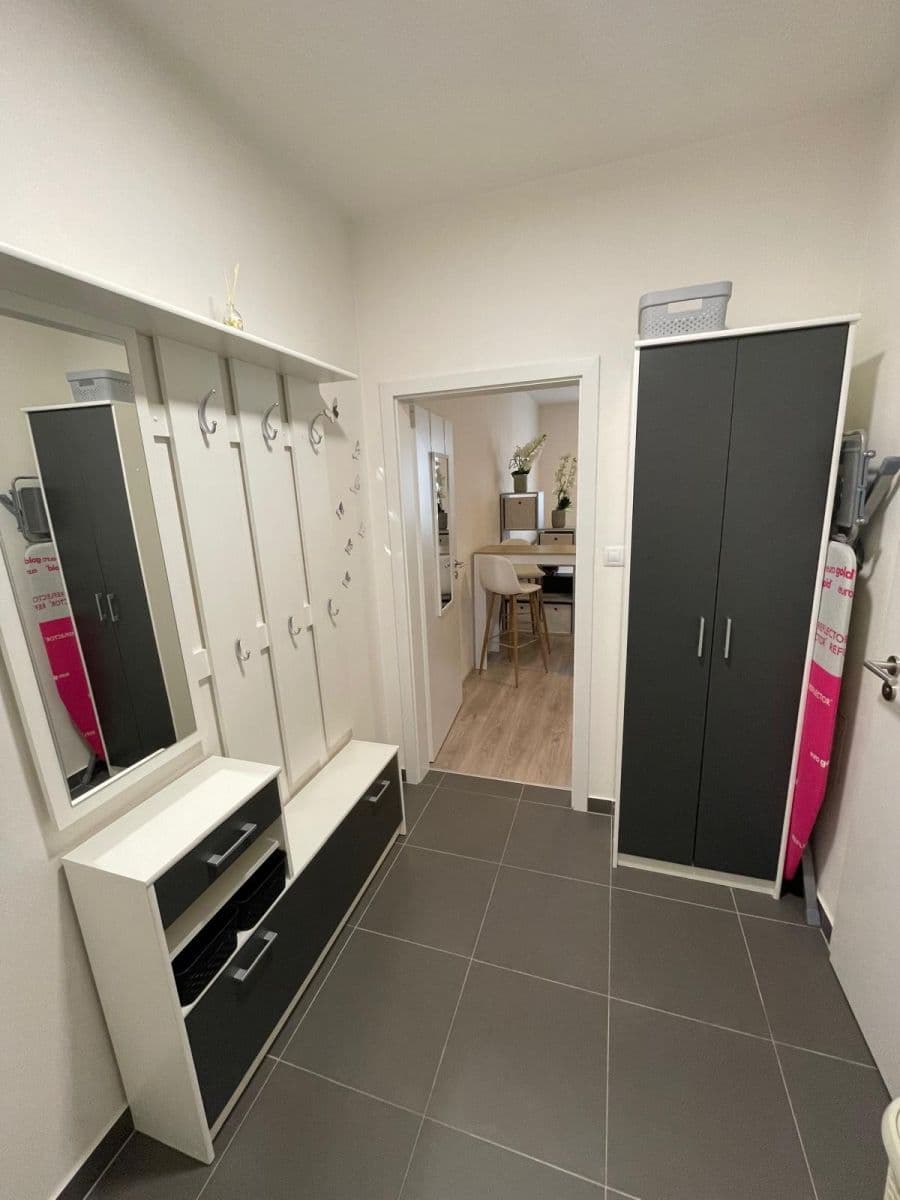 Prenájom bytu 1-izbový 28 m², Technická, Plzeň, Plzeňský kraj Prenájom bytu 1-izbový 28 m², Technická, Plzeň, Plzeňský kraj