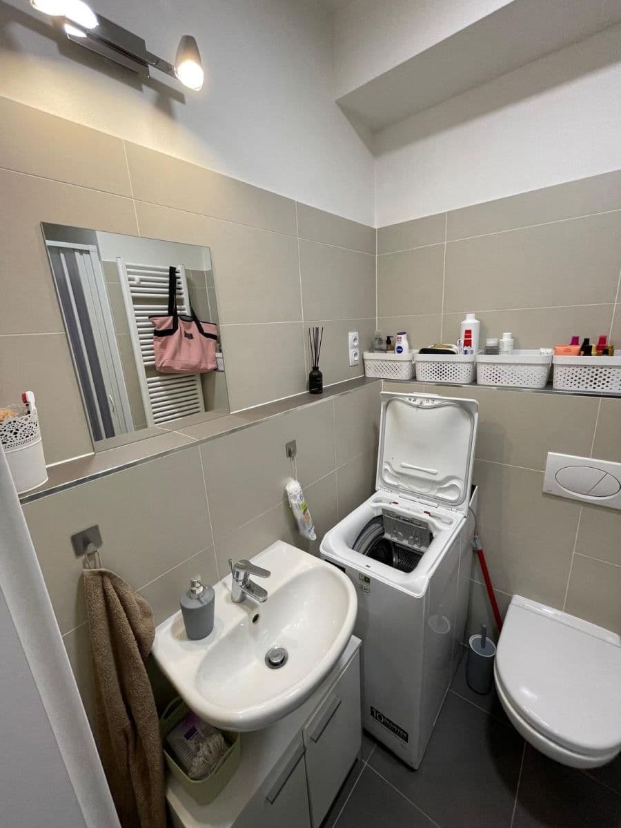 Prenájom bytu 1-izbový 28 m², Technická, Plzeň, Plzeňský kraj Prenájom bytu 1-izbový 28 m², Technická, Plzeň, Plzeňský kraj