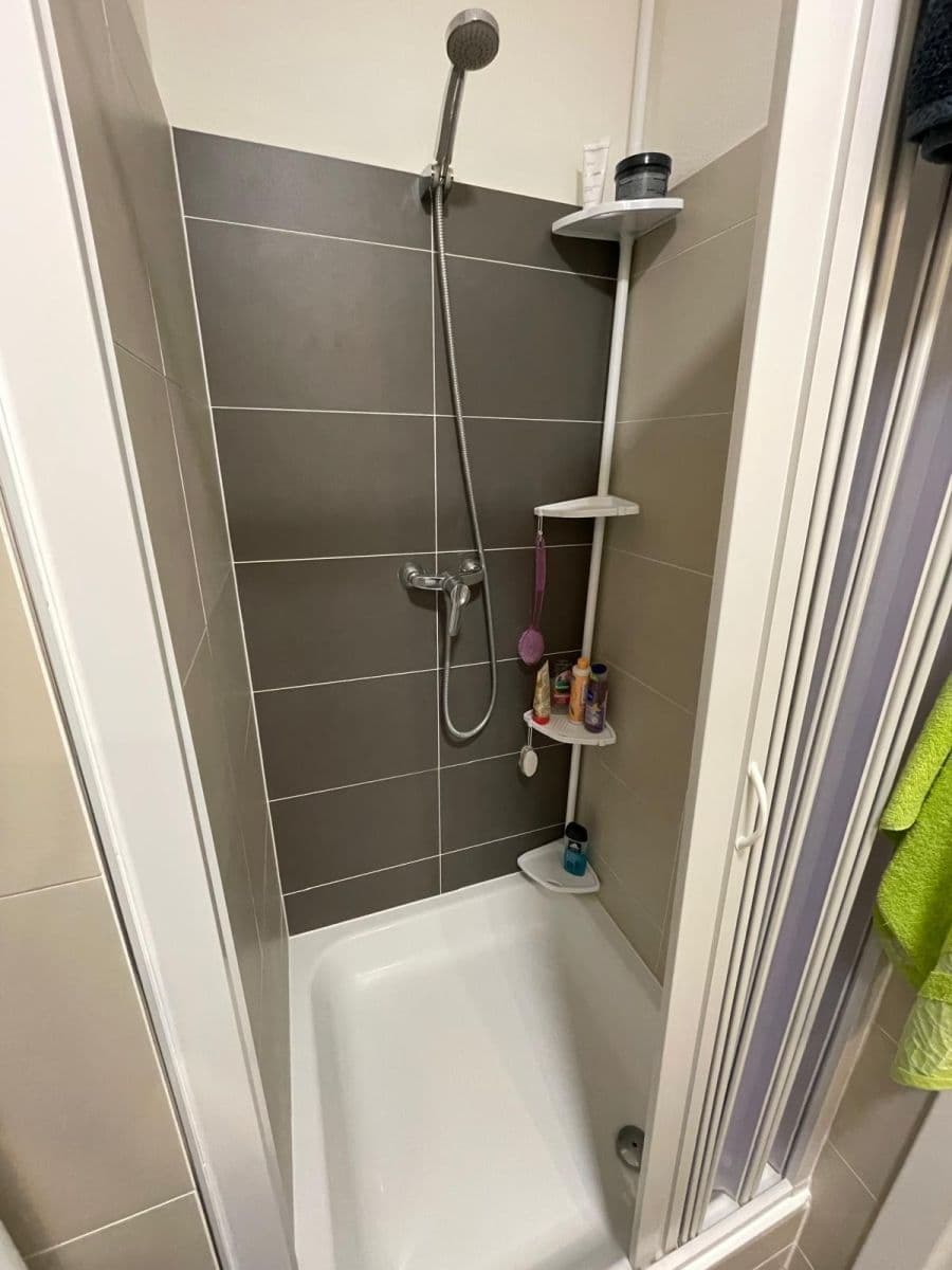 Prenájom bytu 1-izbový 28 m², Technická, Plzeň, Plzeňský kraj Prenájom bytu 1-izbový 28 m², Technická, Plzeň, Plzeňský kraj