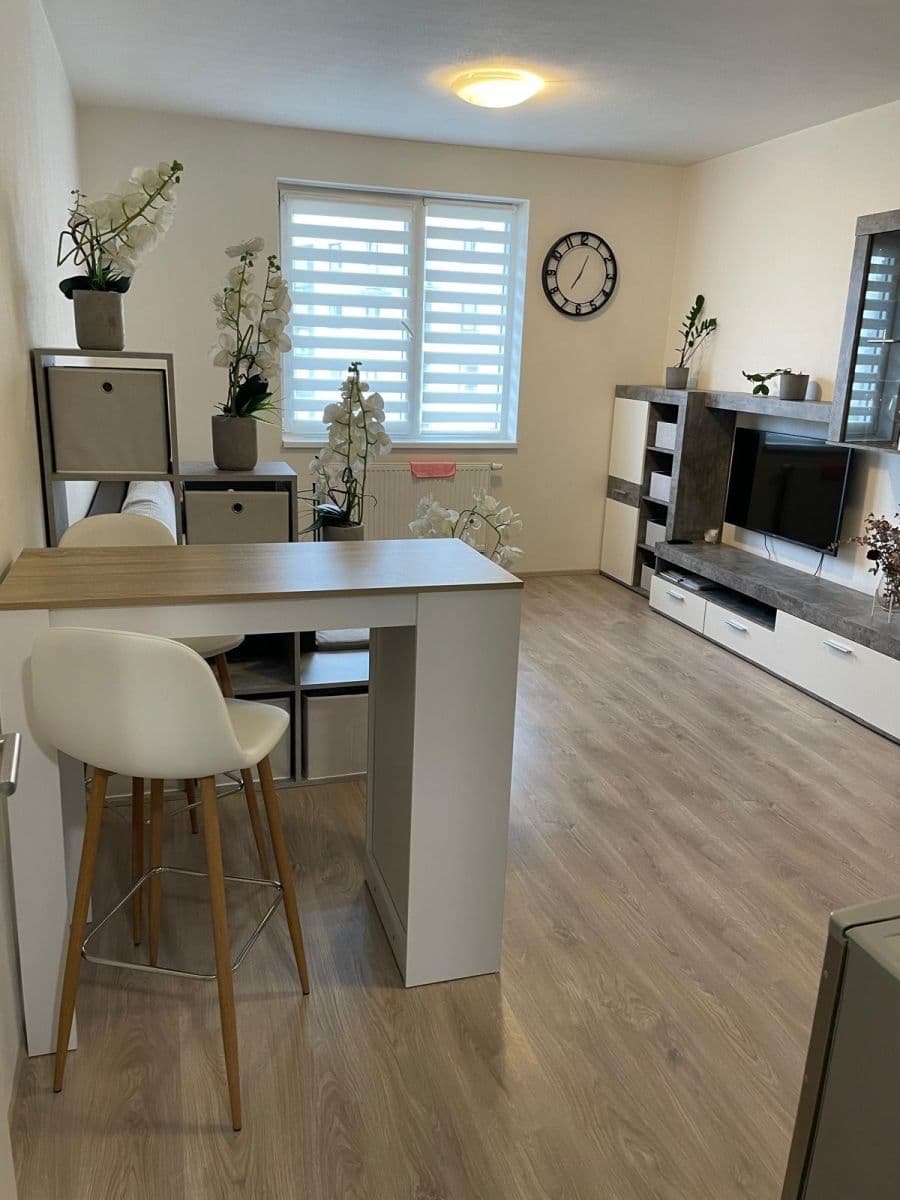 Prenájom bytu 1-izbový 28 m², Technická, Plzeň, Plzeňský kraj Prenájom bytu 1-izbový 28 m², Technická, Plzeň, Plzeňský kraj