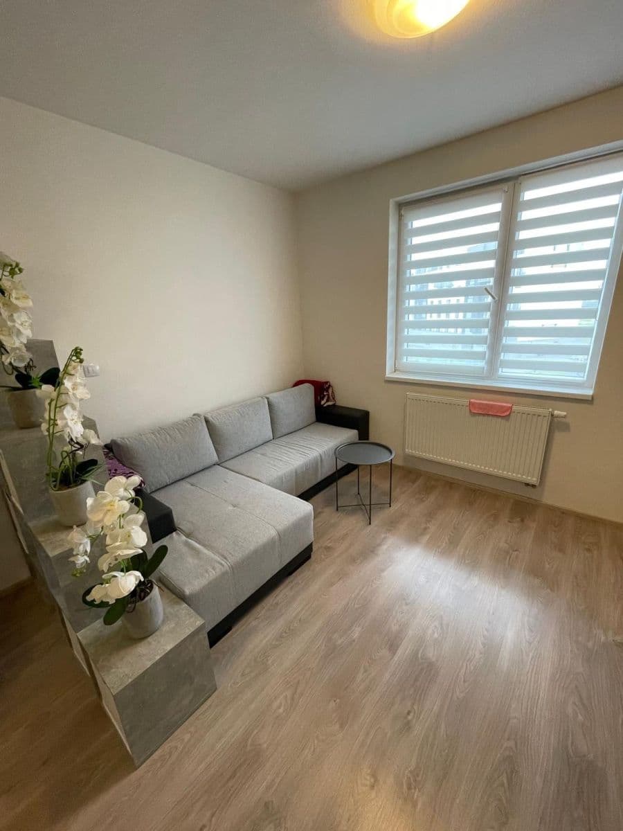 Prenájom bytu 1-izbový 28 m², Technická, Plzeň, Plzeňský kraj Prenájom bytu 1-izbový 28 m², Technická, Plzeň, Plzeňský kraj