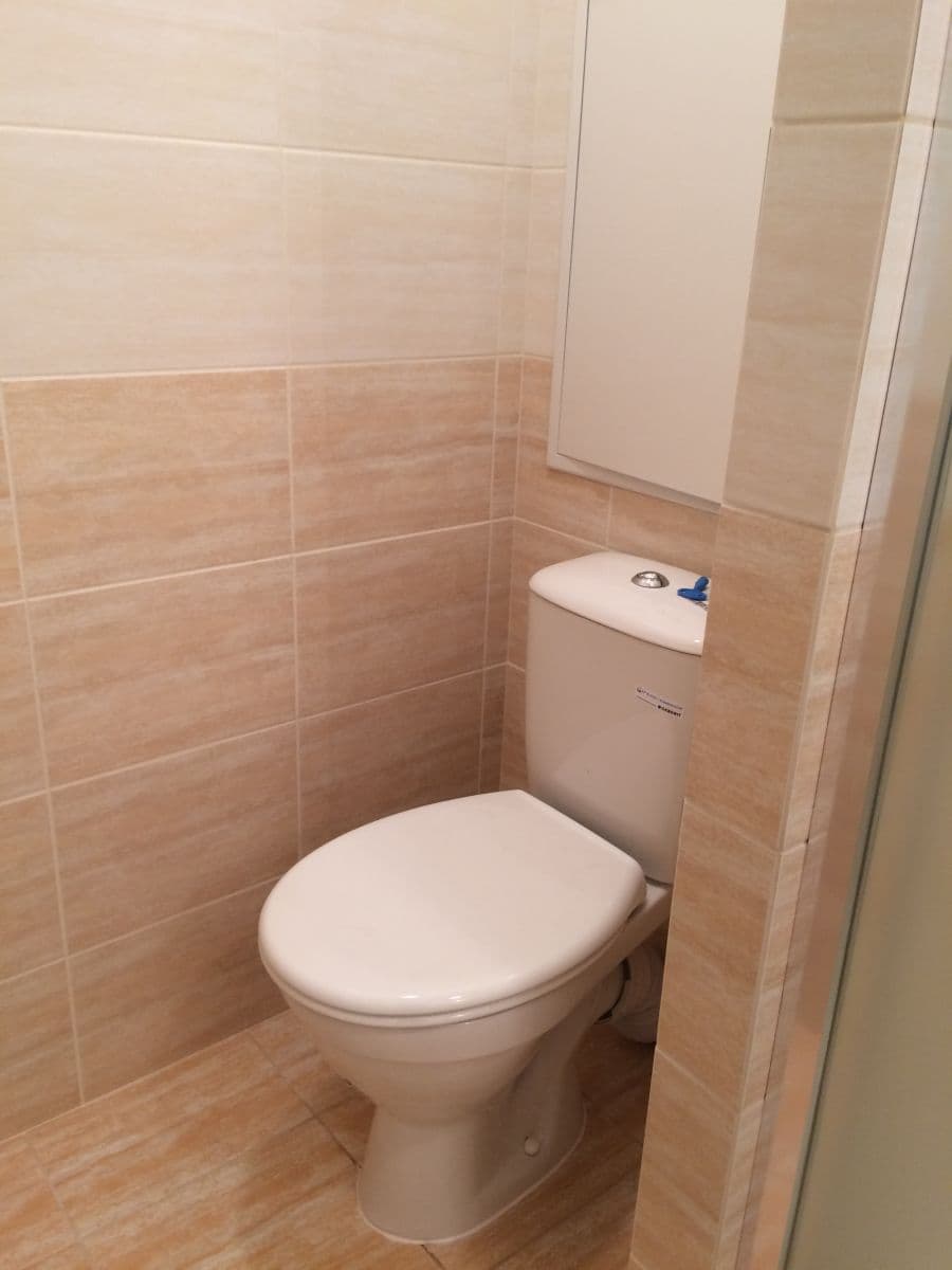 Prenájom bytu 1-izbový 34 m², Kojetická, Neratovice, Středočeský kraj Prenájom bytu 1-izbový 34 m², Kojetická, Neratovice, Středočeský kraj