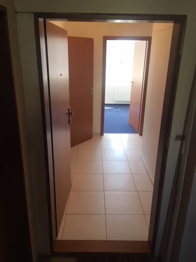 Prenájom bytu 2-izbový 41 m², Bořivojova, Praha, Praha Prenájom bytu 2-izbový 41 m², Bořivojova, Praha, Praha