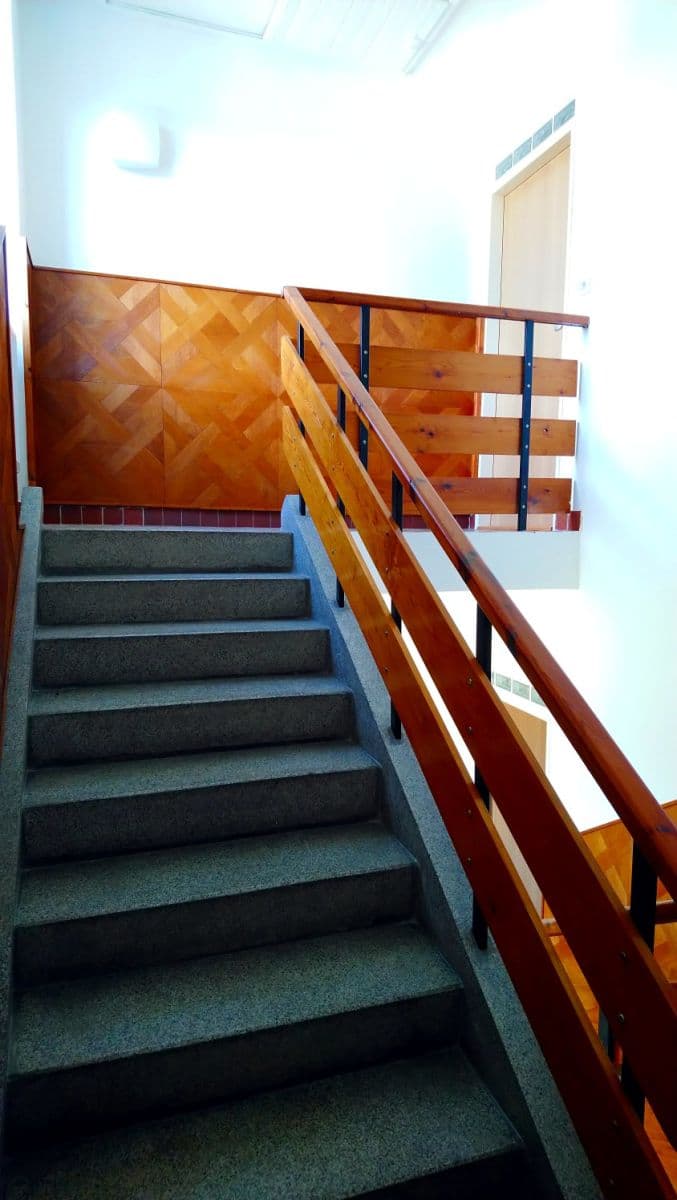 Prenájom bytu 1-izbový 25 m², Na Radosti, Praha, Praha Prenájom bytu 1-izbový 25 m², Na Radosti, Praha, Praha