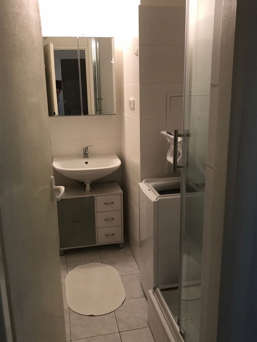 Prenájom bytu 1-izbový 35 m², Fričova, Praha, Praha Prenájom bytu 1-izbový 35 m², Fričova, Praha, Praha