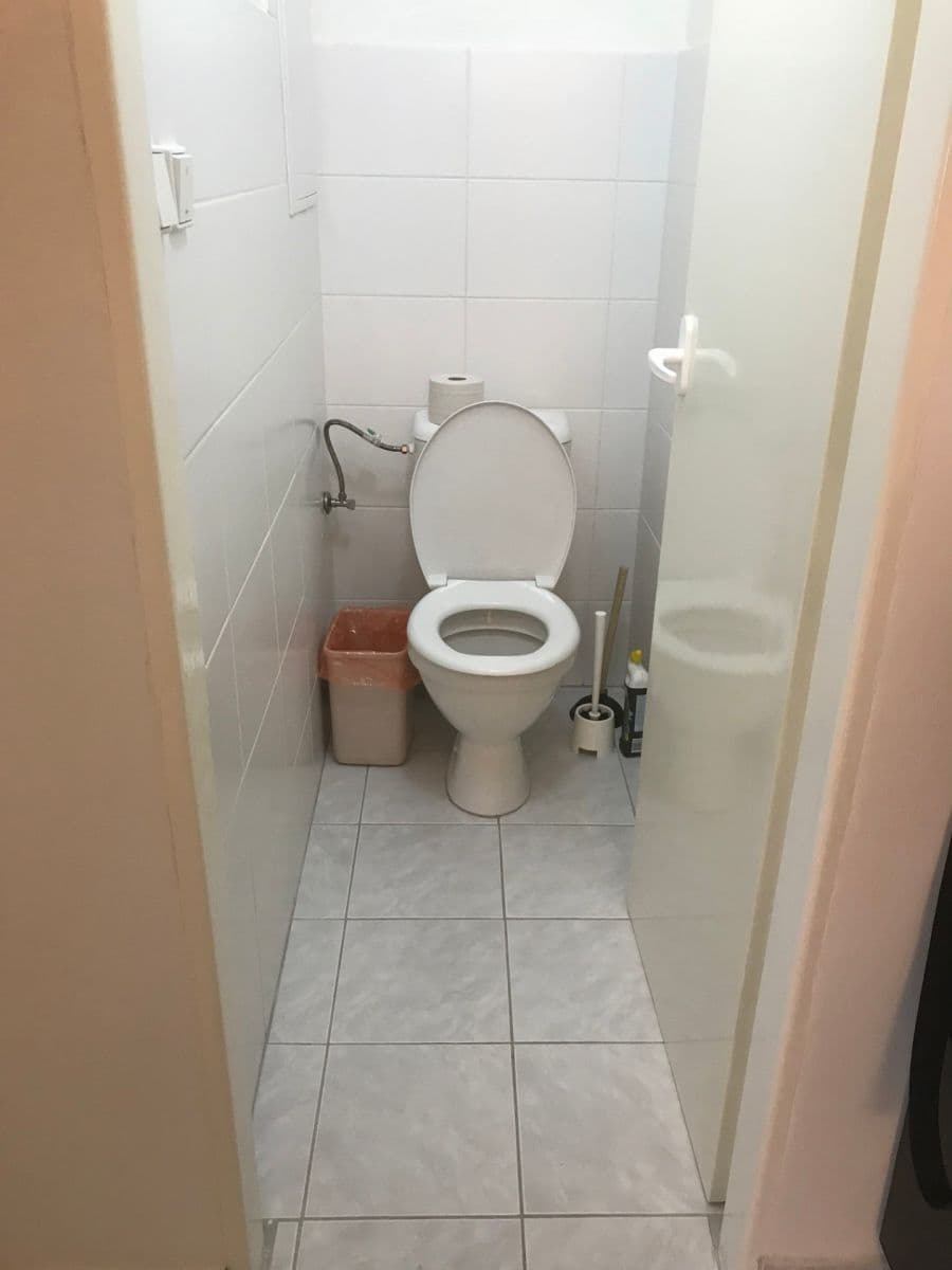 Prenájom bytu 1-izbový 35 m², Fričova, Praha, Praha Prenájom bytu 1-izbový 35 m², Fričova, Praha, Praha