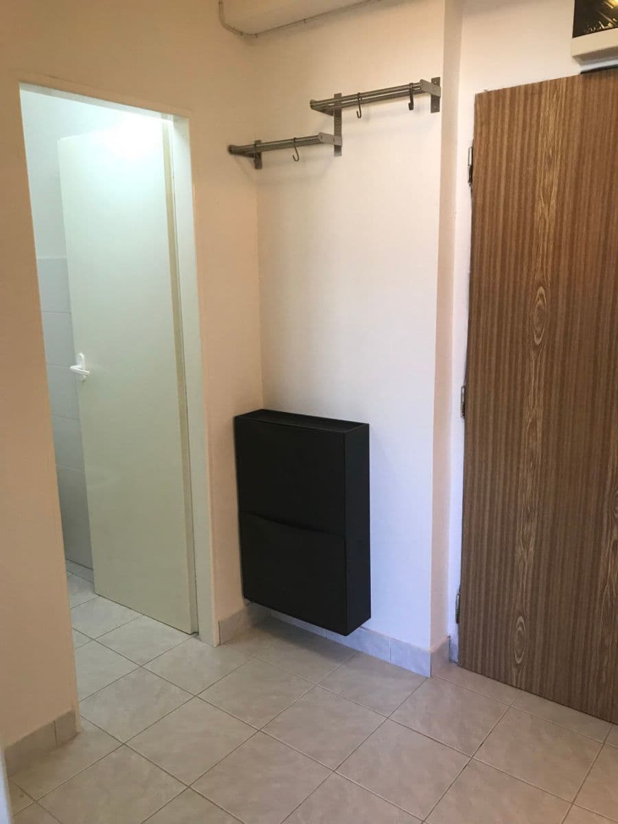 Prenájom bytu 1-izbový 35 m², Fričova, Praha, Praha Prenájom bytu 1-izbový 35 m², Fričova, Praha, Praha