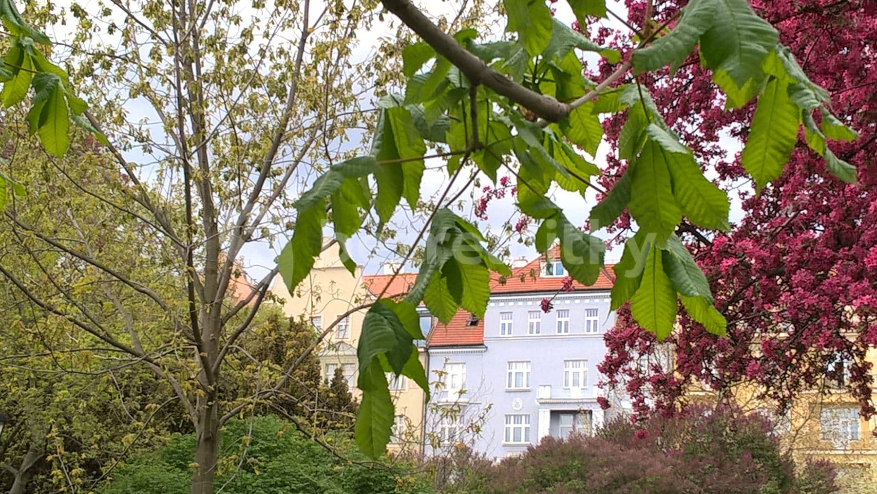 Prenájom bytu Garsoniéra 35 m², U Havlíčkových sadů, Praha, Praha Prenájom bytu Garsoniéra 35 m², U Havlíčkových sadů, Praha, Praha