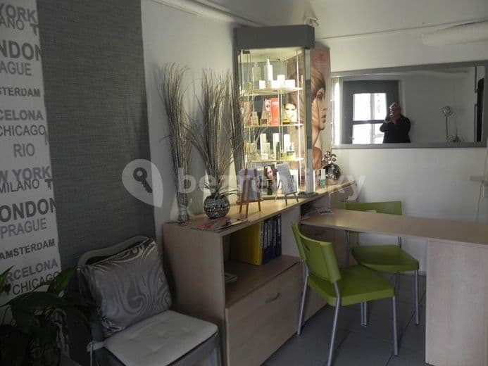 Prenájom nebytového priestoru 20 m², Dětská, Praha, Praha Prenájom nebytového priestoru 20 m², Dětská, Praha, Praha