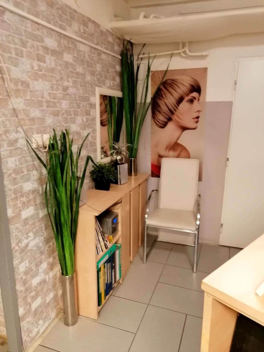 Prenájom nebytového priestoru 20 m², Dětská, Praha, Praha Prenájom nebytového priestoru 20 m², Dětská, Praha, Praha