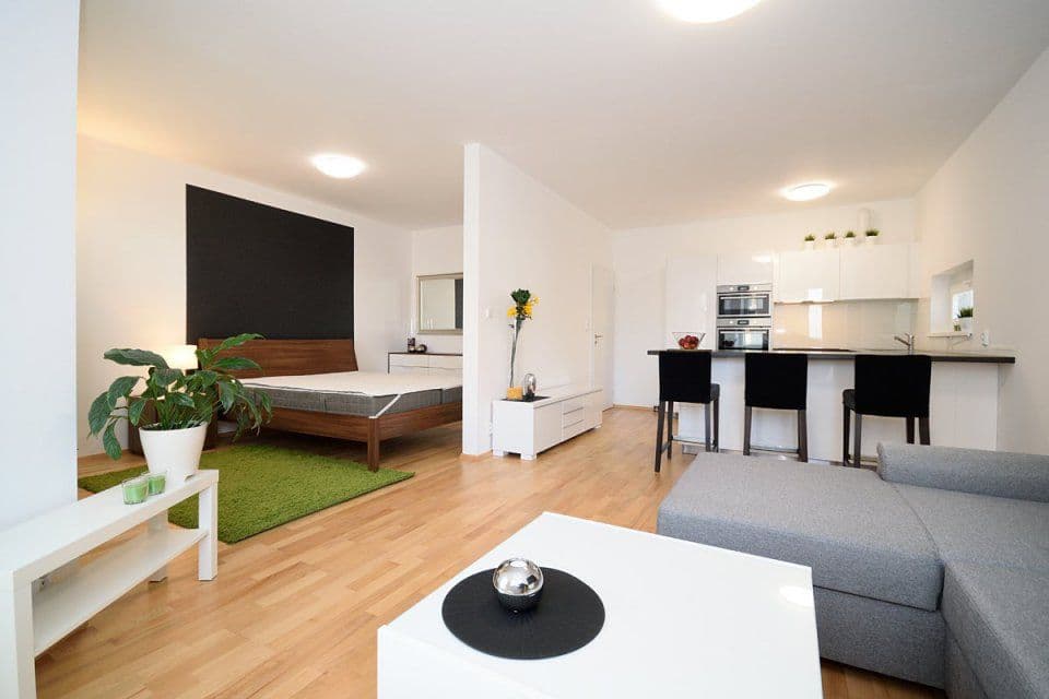 Prenájom bytu 2-izbový 55 m², Makedonská, Praha, Praha Prenájom bytu 2-izbový 55 m², Makedonská, Praha, Praha