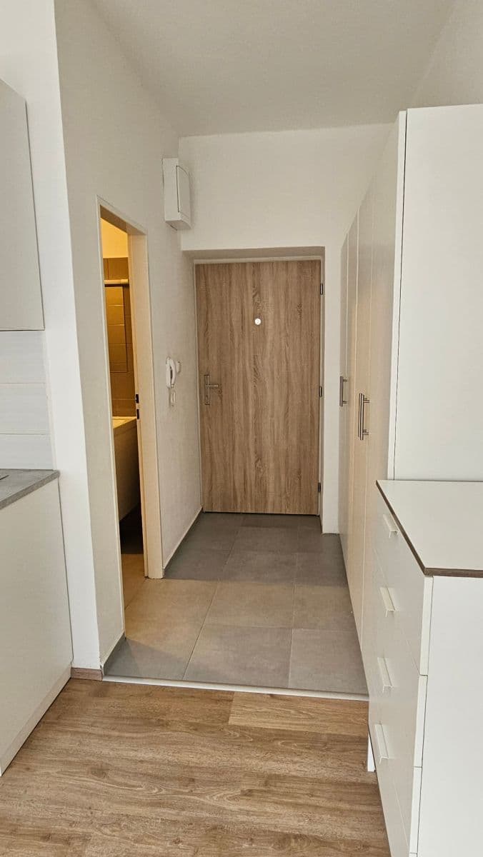 Prenájom bytu 24 m², Šárka, Brno, Jihomoravský kraj Prenájom bytu 24 m², Šárka, Brno, Jihomoravský kraj