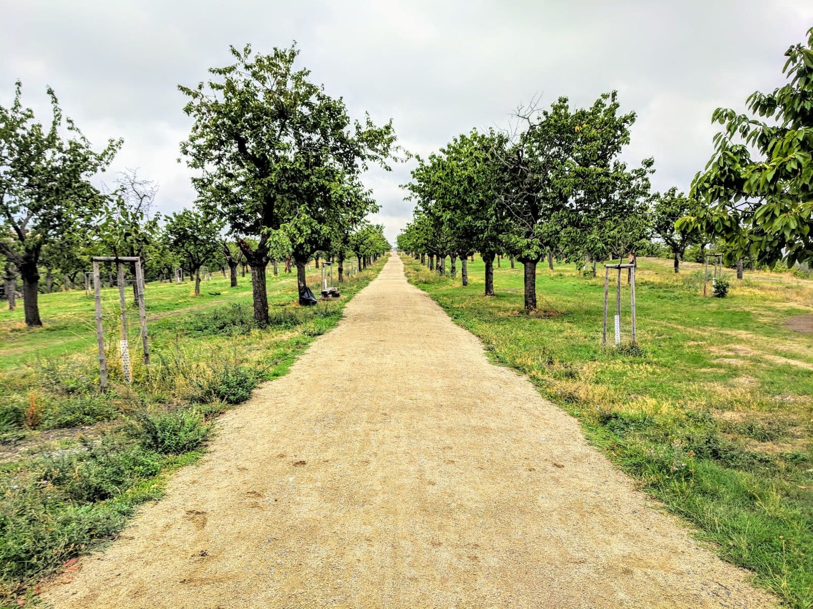 Prenájom bytu 2-izbový 40 m², Křivá, Praha, Praha Prenájom bytu 2-izbový 40 m², Křivá, Praha, Praha