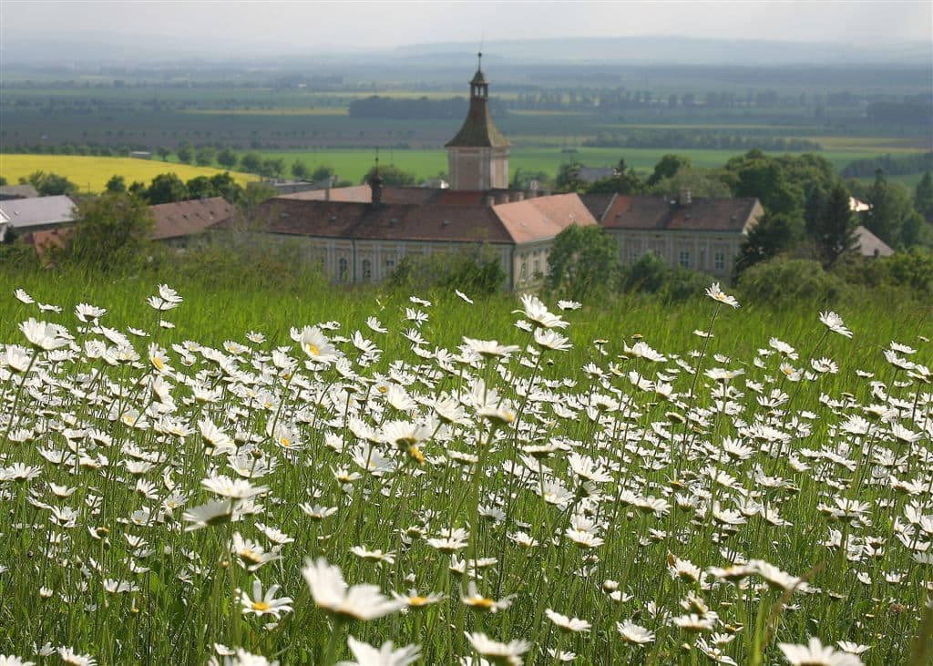 Predaj nebytového priestoru 9.800 m², Přestavlky, Přestavlky, Olomoucký kraj Predaj nebytového priestoru 9.800 m², Přestavlky, Přestavlky, Olomoucký kraj