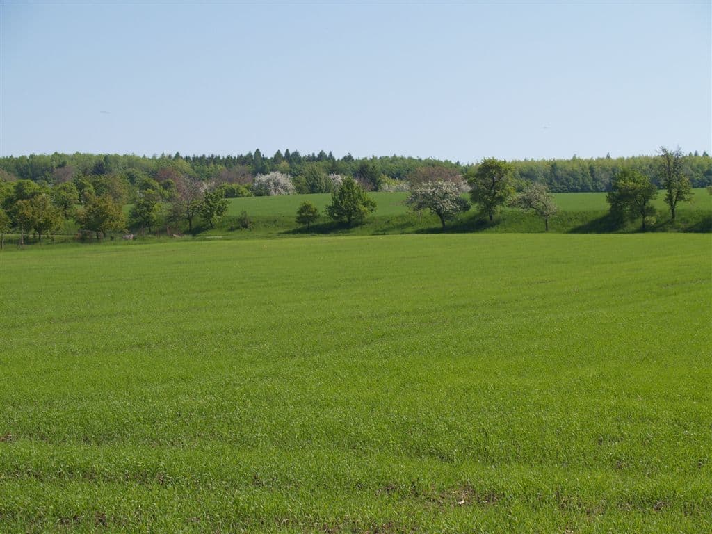 Predaj nebytového priestoru 9.800 m², Přestavlky, Přestavlky, Olomoucký kraj Predaj nebytového priestoru 9.800 m², Přestavlky, Přestavlky, Olomoucký kraj
