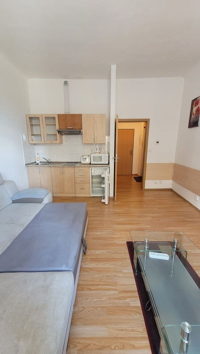 Prenájom bytu 1-izbový 25 m², Veletržní, Praha, Praha Prenájom bytu 1-izbový 25 m², Veletržní, Praha, Praha