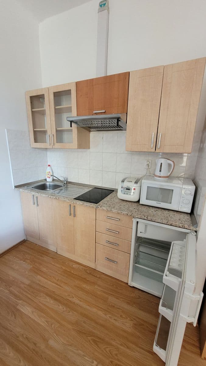 Prenájom bytu 1-izbový 25 m², Veletržní, Praha, Praha Prenájom bytu 1-izbový 25 m², Veletržní, Praha, Praha