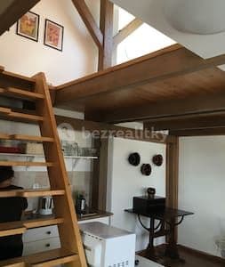 Prenájom bytu 1-izbový 60 m², Drahobejlova, Praha, Praha Prenájom bytu 1-izbový 60 m², Drahobejlova, Praha, Praha