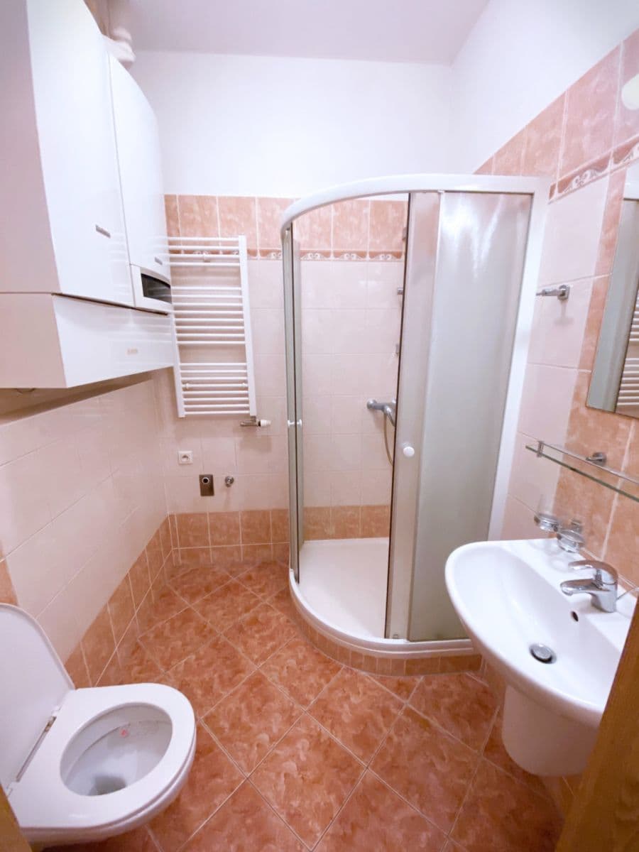 Prenájom bytu 1-izbový 24 m², Bulharská, Praha, Praha Prenájom bytu 1-izbový 24 m², Bulharská, Praha, Praha