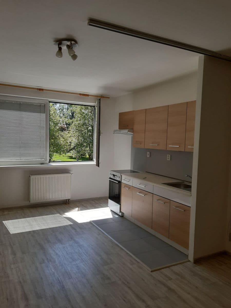 Prenájom bytu 1-izbový 35 m², nábřeží Závodu míru, Pardubice, Pardubický kraj Prenájom bytu 1-izbový 35 m², nábřeží Závodu míru, Pardubice, Pardubický kraj