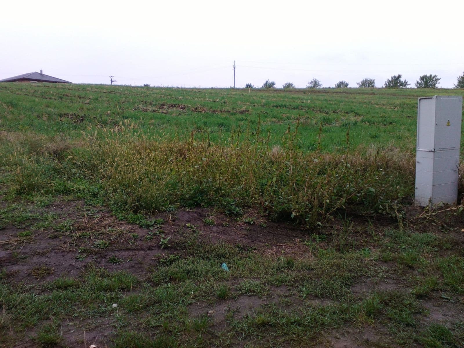 Predaj pozemku 600 m², Hodějice, Jihomoravský kraj Predaj pozemku 600 m², Hodějice, Jihomoravský kraj