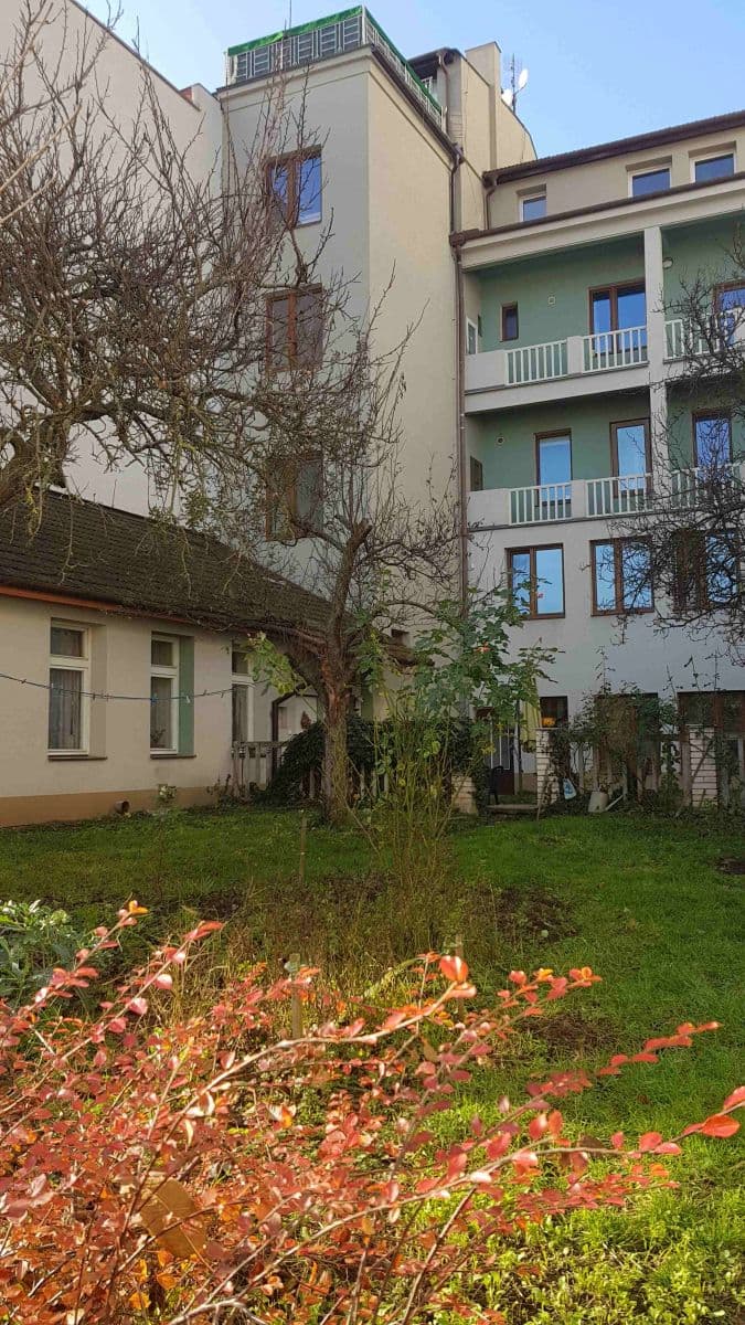 Prenájom bytu 1-izbový 36 m², Palackého třída, Brno, Jihomoravský kraj Prenájom bytu 1-izbový 36 m², Palackého třída, Brno, Jihomoravský kraj